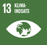 13. Klimaindsats